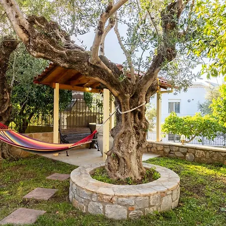 Dom wakacyjny Avia's Seaside Hideaway With Lush Garden *